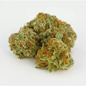 Bubblegum Kush Strain