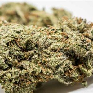 Gorilla Glue #4 Strain