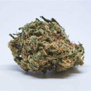 Northern Lights Strain