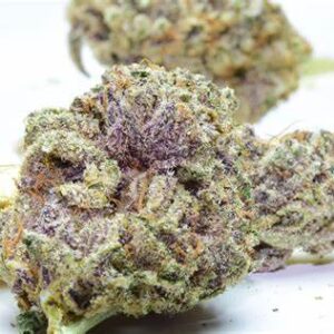 Purple Kush